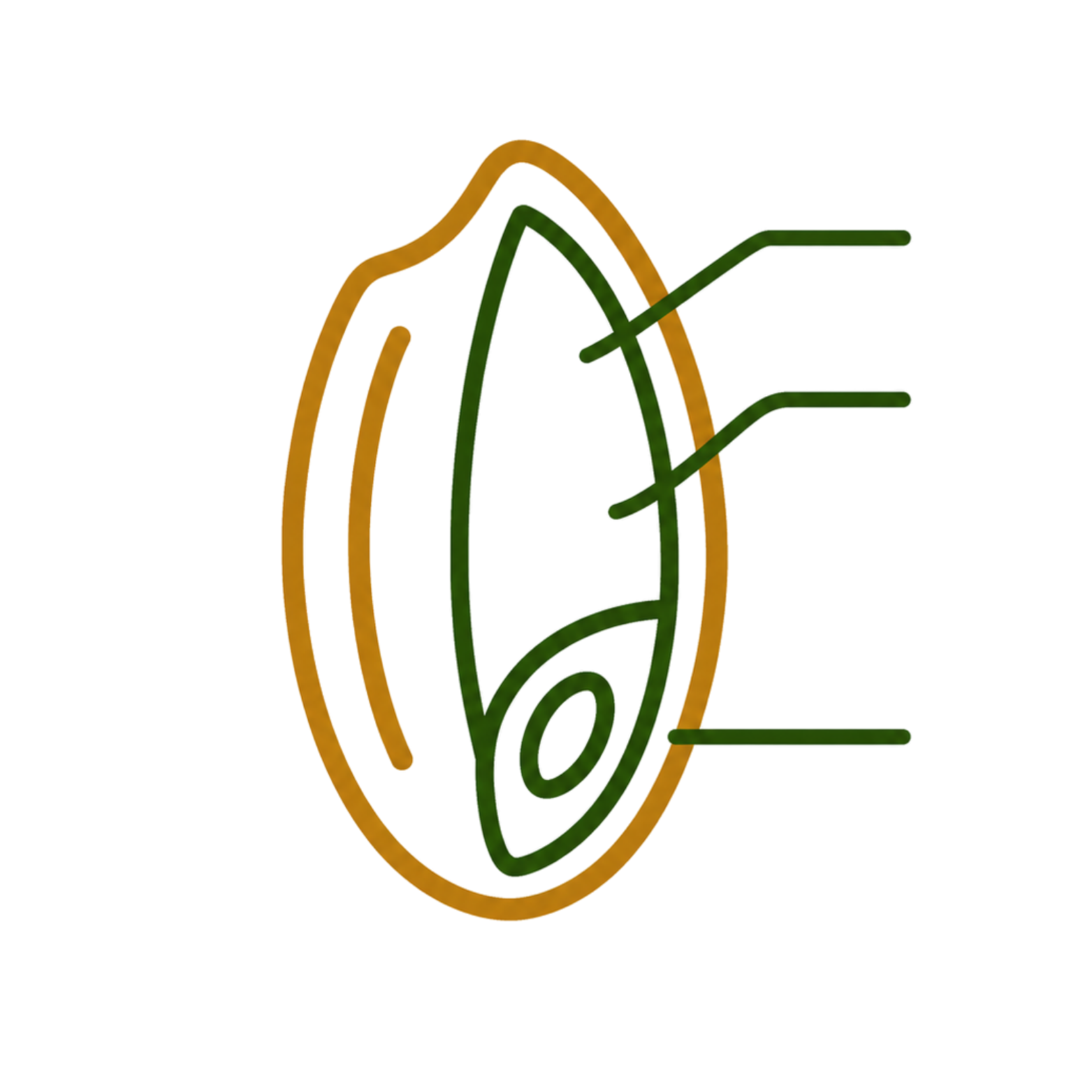 i 3